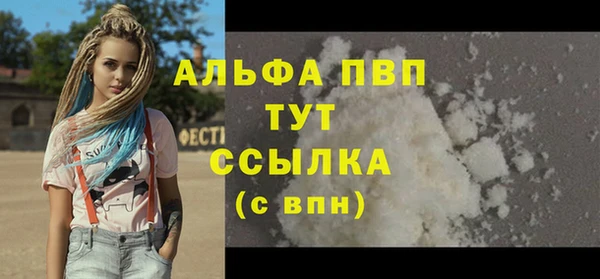 дживик Пересвет