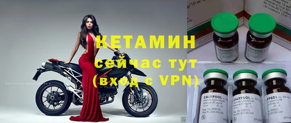 дживик Пересвет