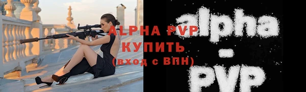 дживик Пересвет