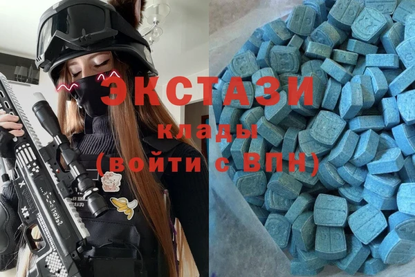 твердый Вяземский