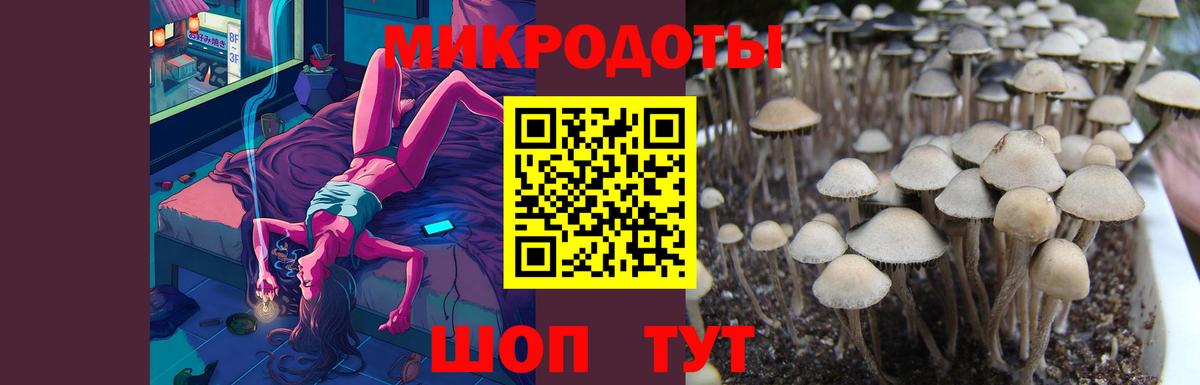 Алушта  Псилоцибиновые грибы Psilocybe  Вход с VPN 