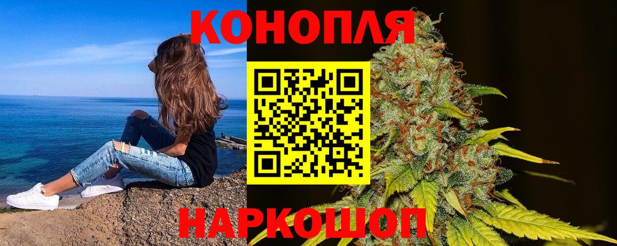 Канабис сатива Алушта